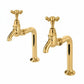 Antique Gold BIB TAPS STANDARD extention in a traditional style compatible with Barber Wilsons, Lefroy Brooks, Rudge, and Chadder & Co.